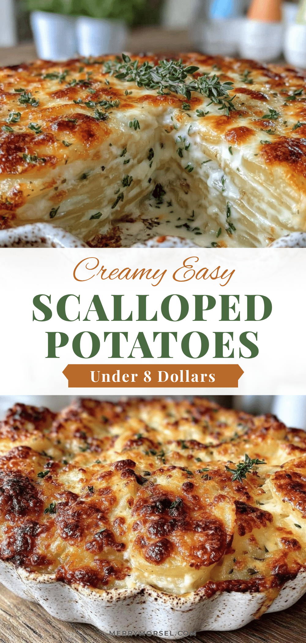 creamy scalloped potatoes recipe recipe