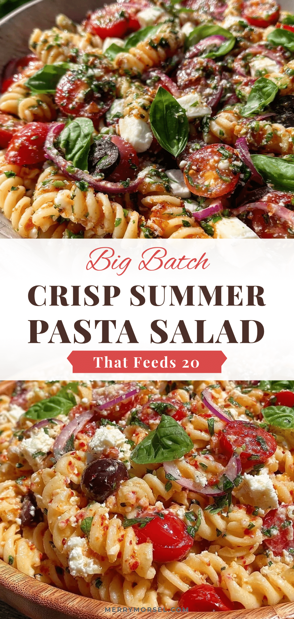 crisp big batch summer pasta salad recipe