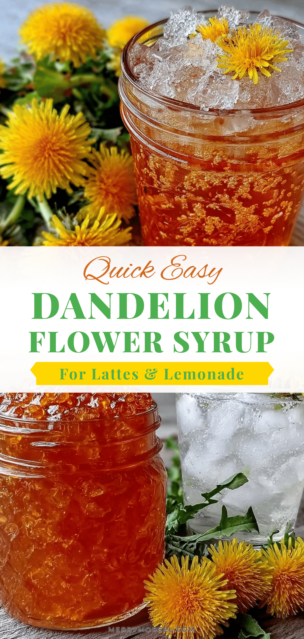 dandelion flower syrup recipe
