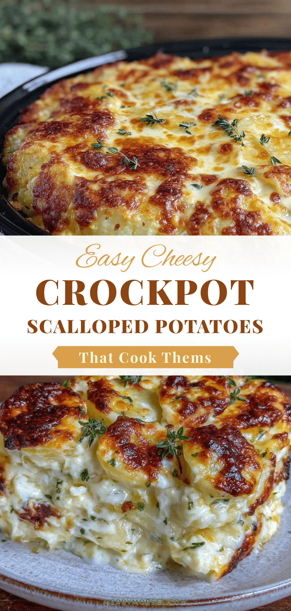 easy cheesy crockpot scalloped potatoes recipe