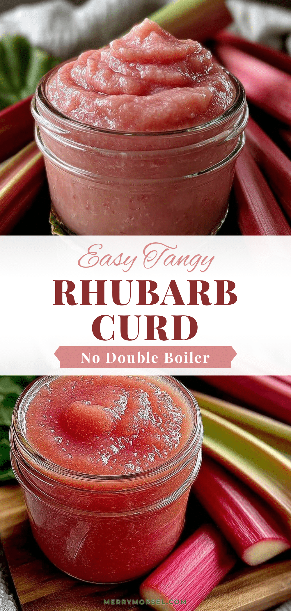 easy rhubarb curd recipe recipe