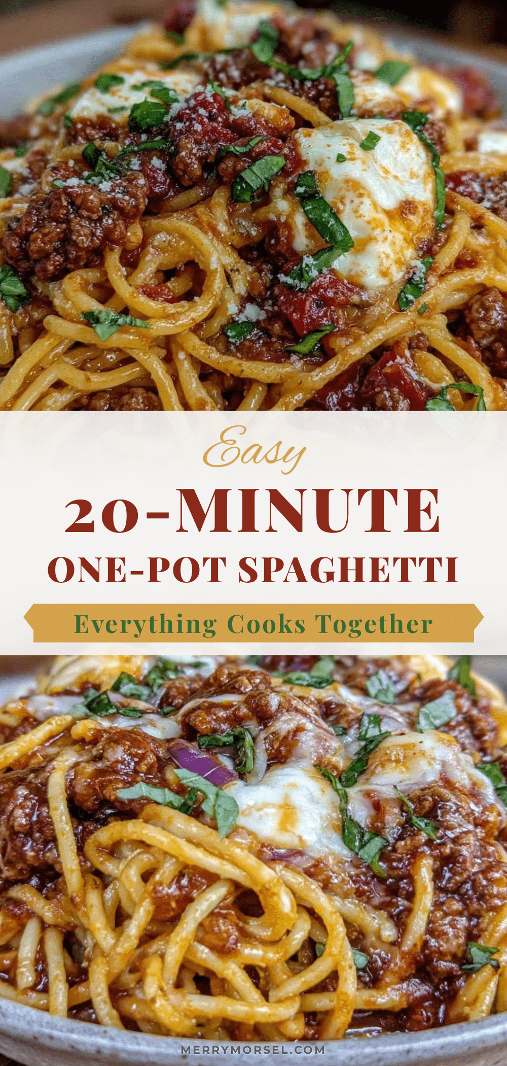 easy 20-minute one-pot spaghetti recipe
