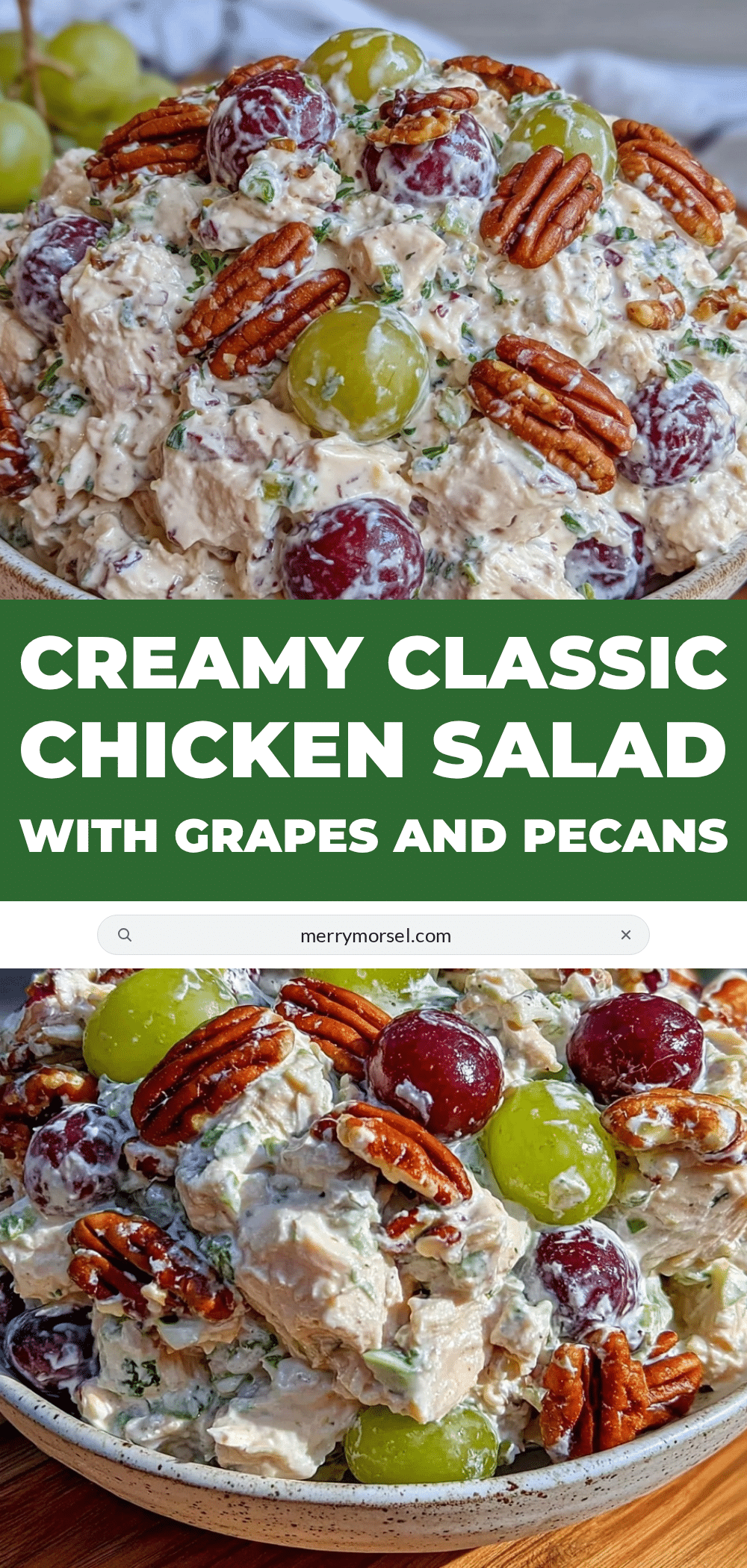 creamy classic chicken salad recipe