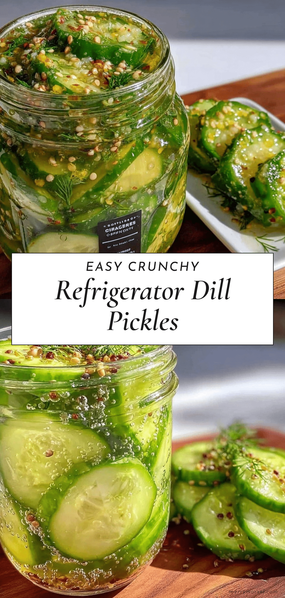 easy crunchy refrigerator dill pickles recipe