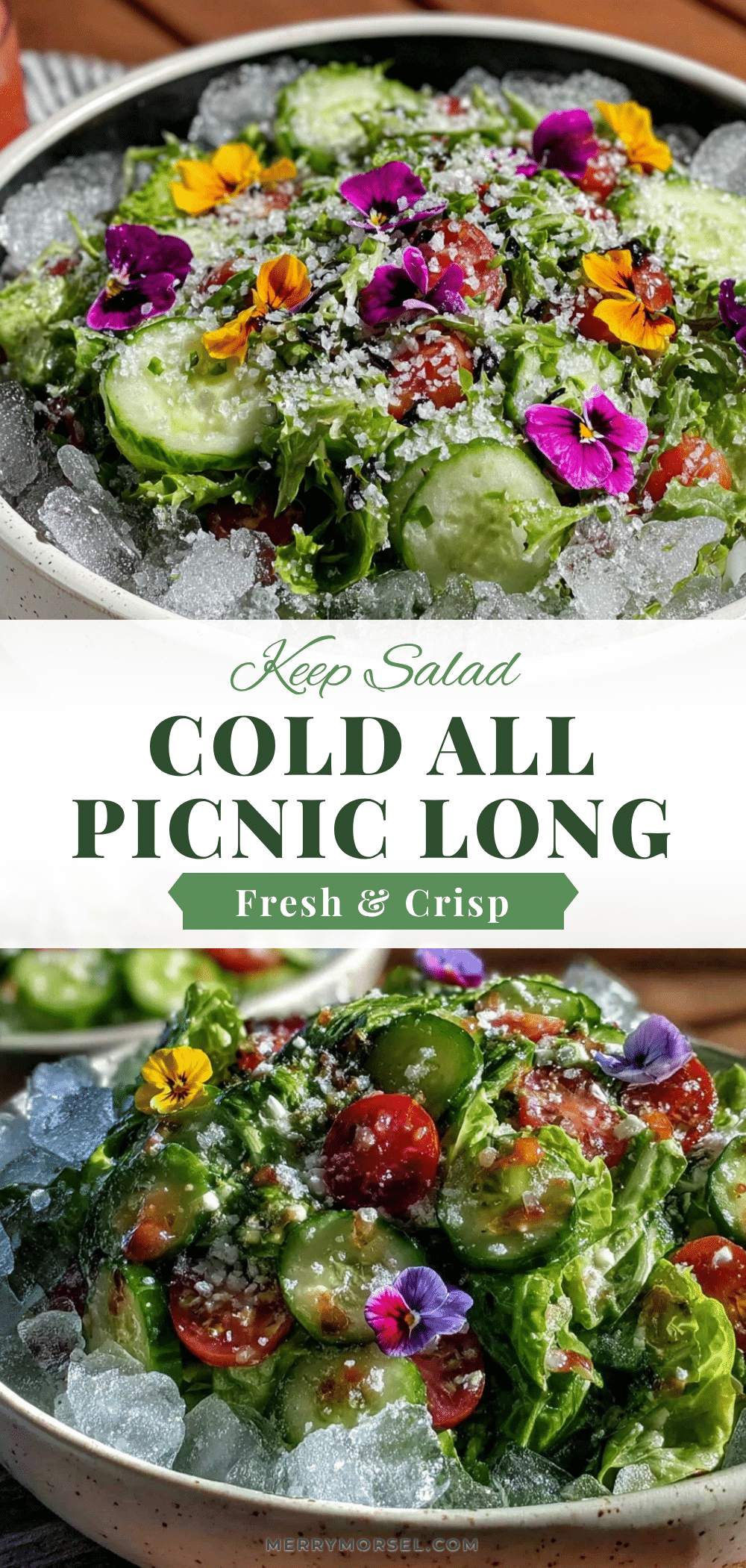 fresh keep salad cold recipe