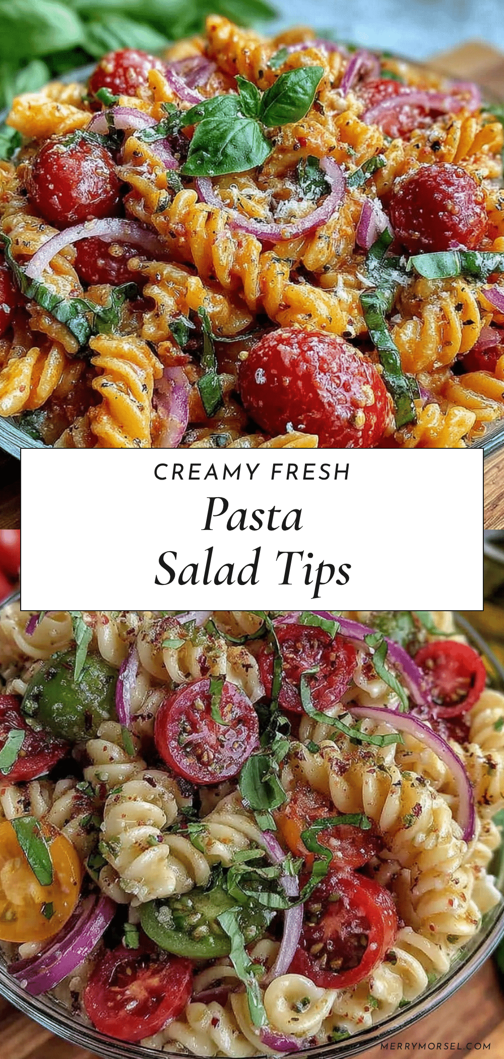 fresh pasta salad with creamy dressing recipe