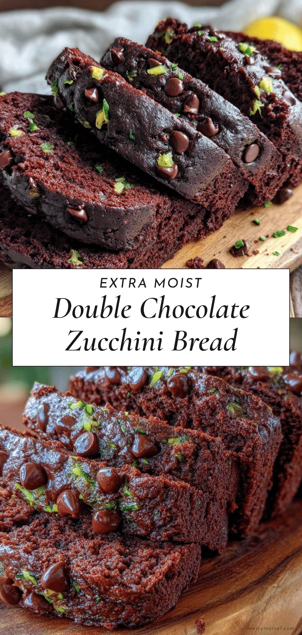 moist double chocolate chip zucchini bread recipe