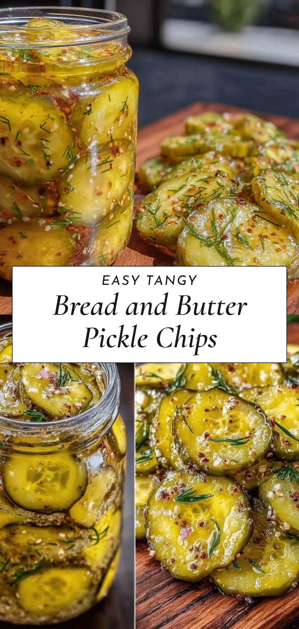 bread and butter refrigerator pickle chips recipe