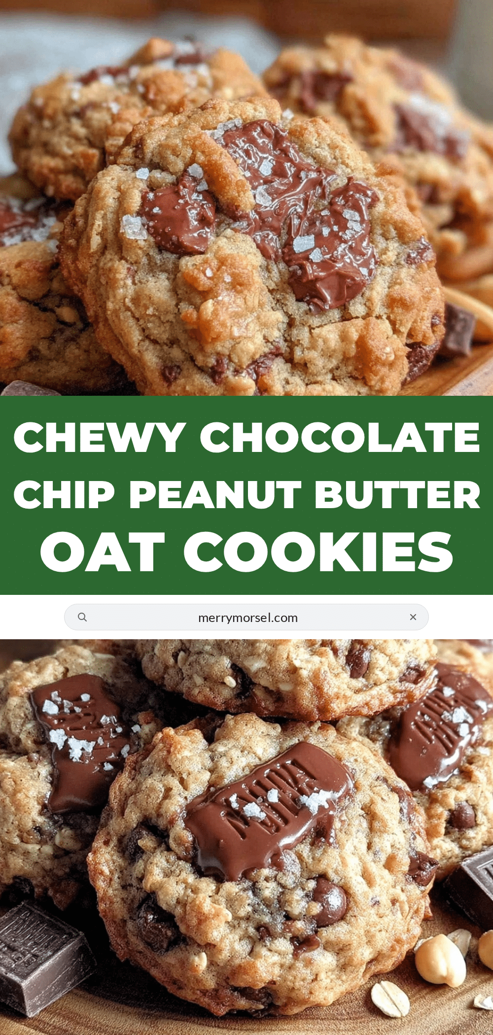 chewy back to school chocolate chip peanut butter oat cookies recipe