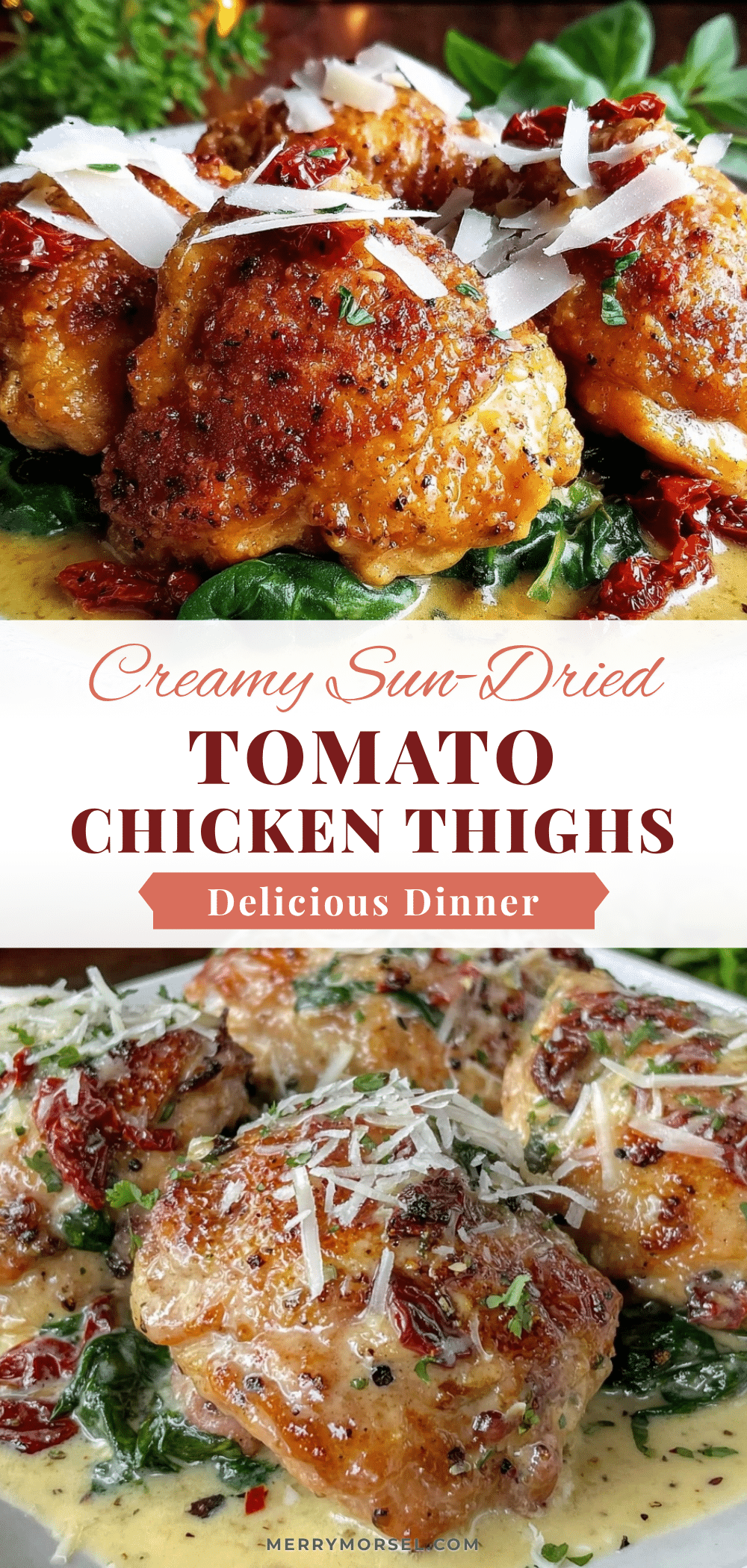 creamy chicken thighs with sun-dried tomatoes recipe