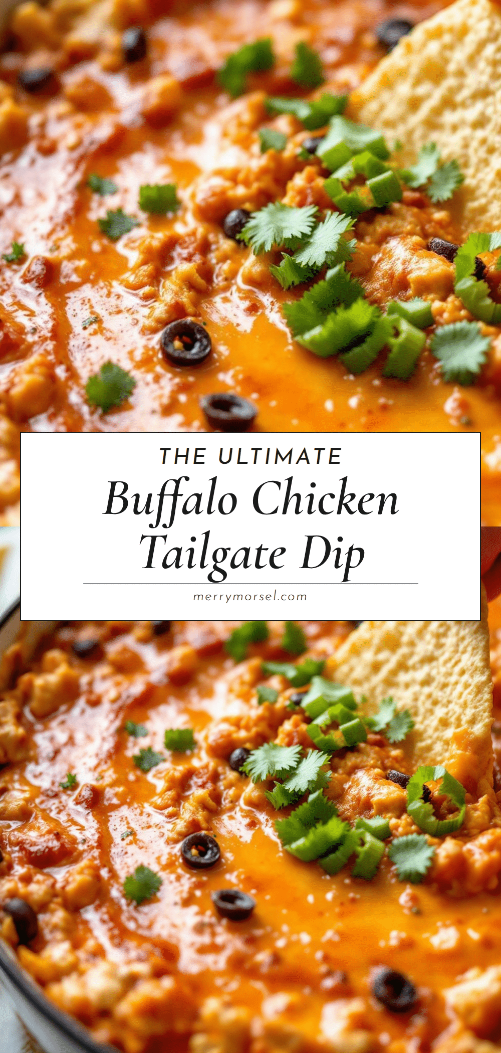 buffalo chicken dip recipe