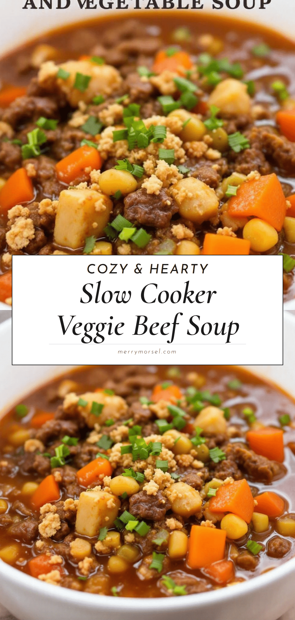 cozy slow cooker ground beef and vegetable soup recipe