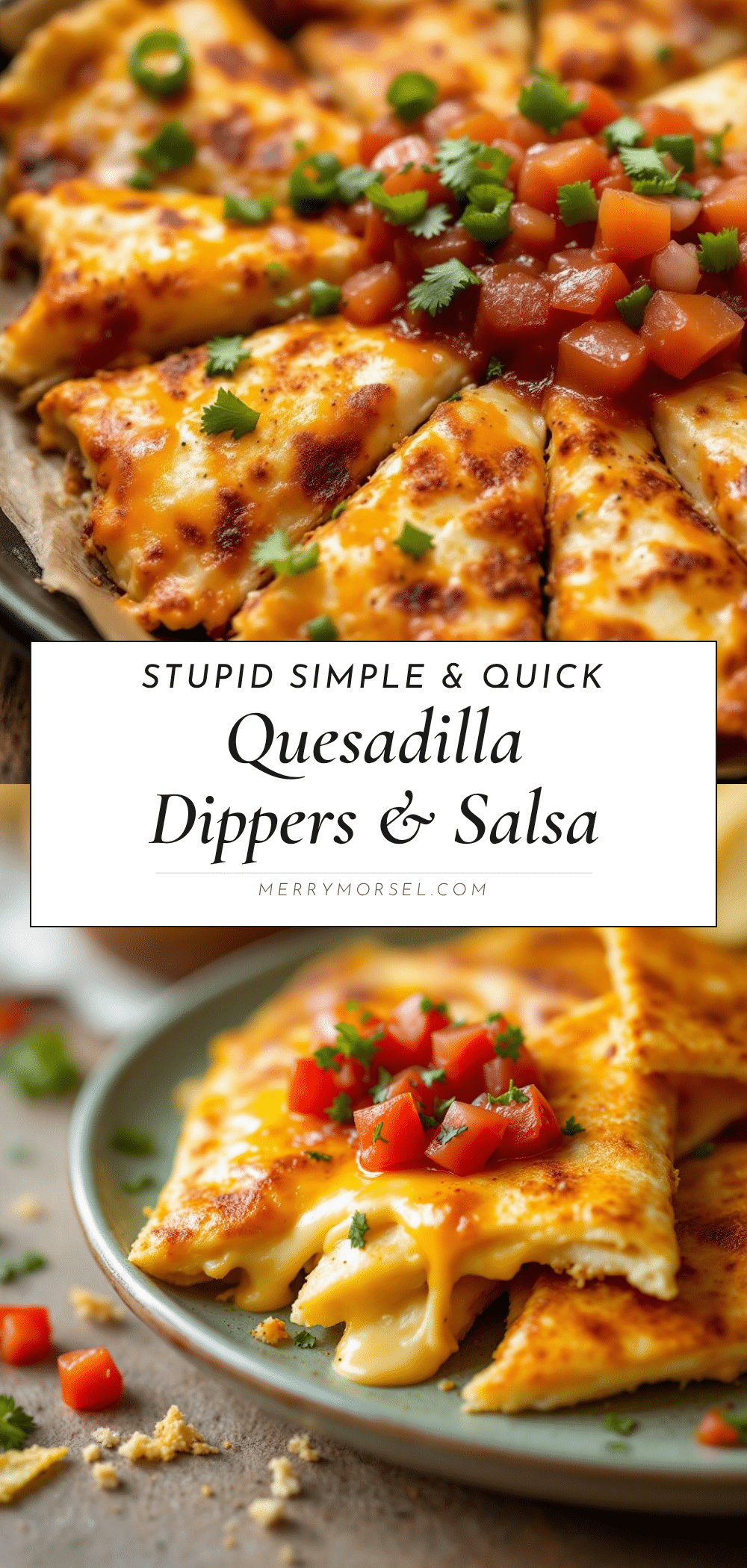 easy cheese quesadilla dippers with homemade salsa recipe