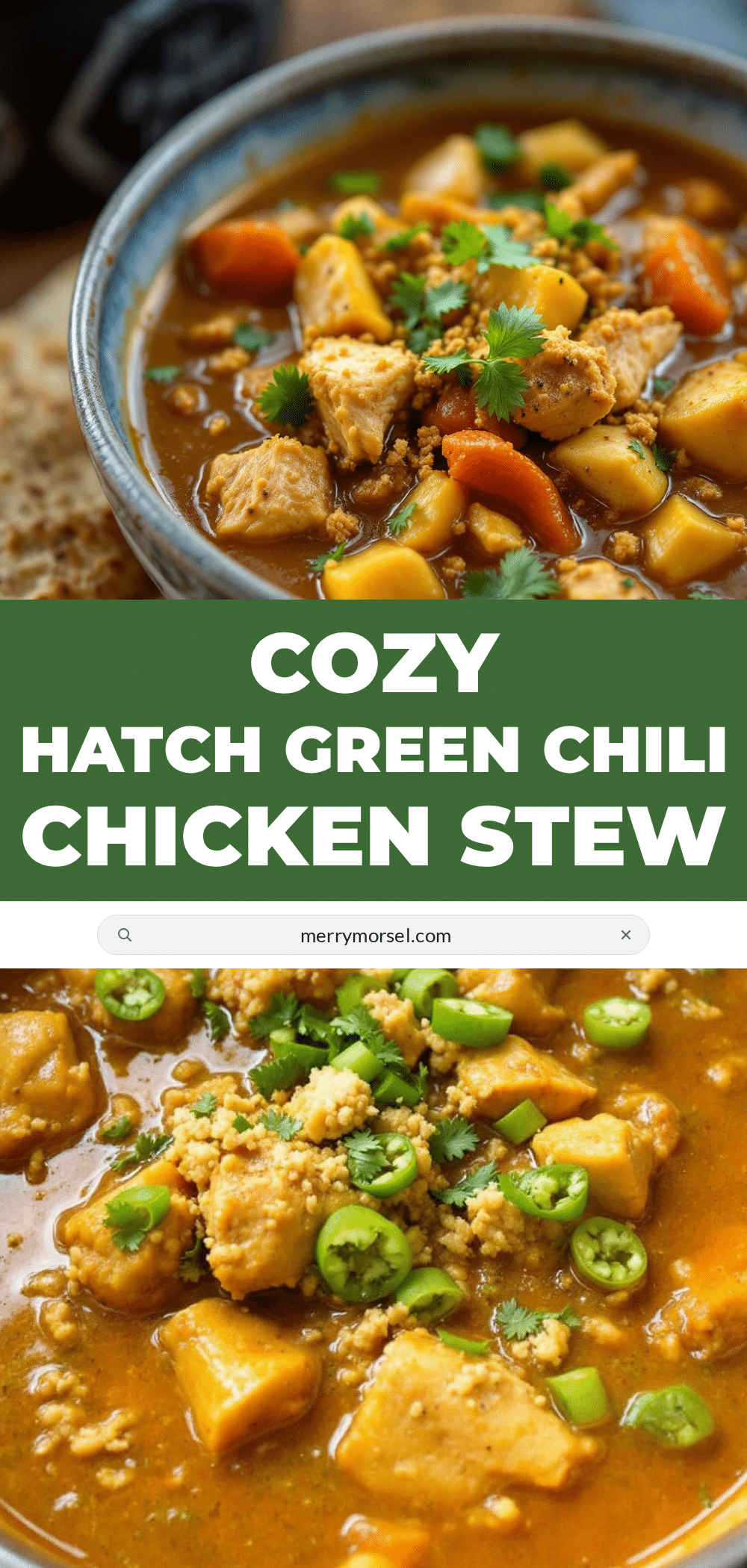 hatch green chili chicken stew recipe