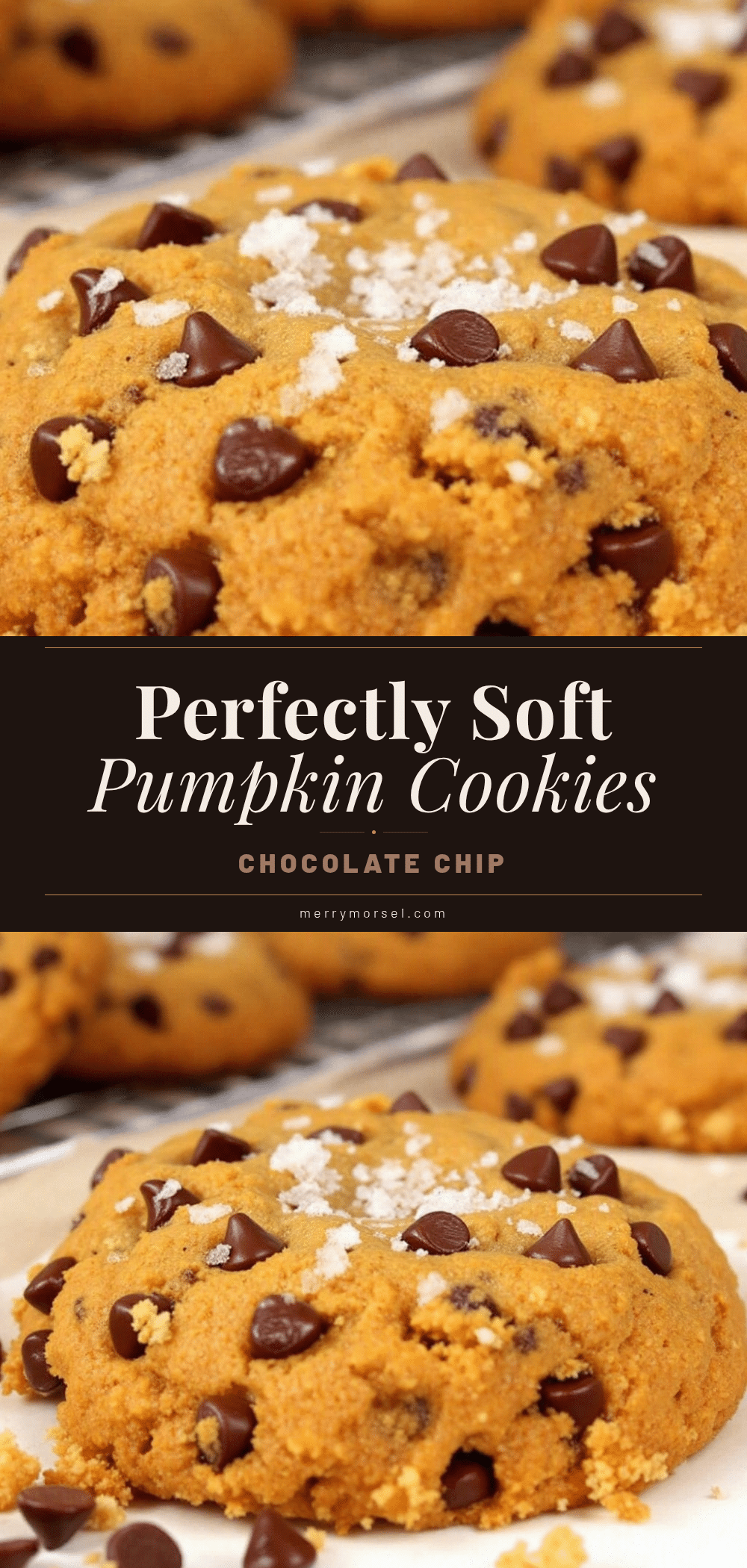 pumpkin chocolate chip cookies recipe