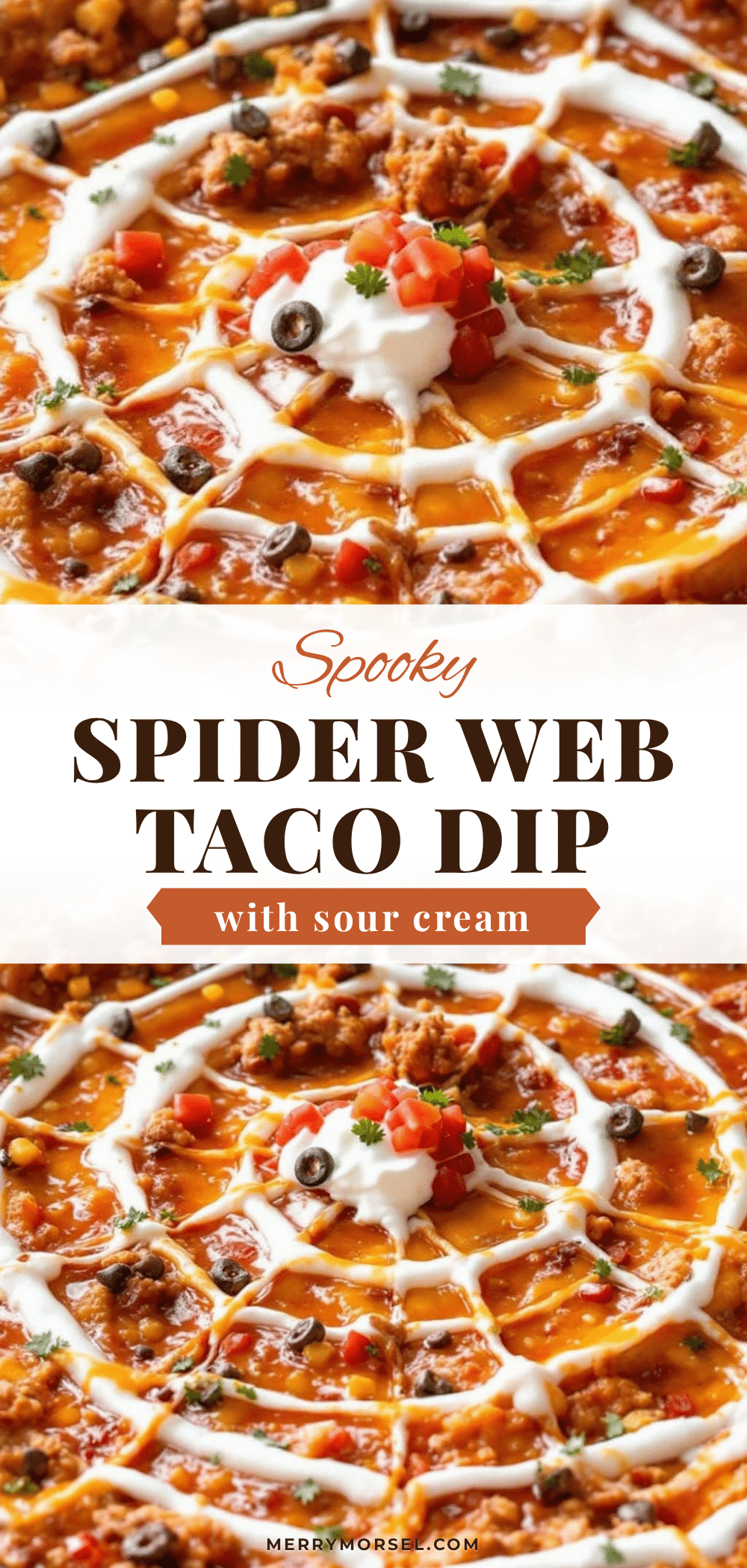 spider web taco dip recipe