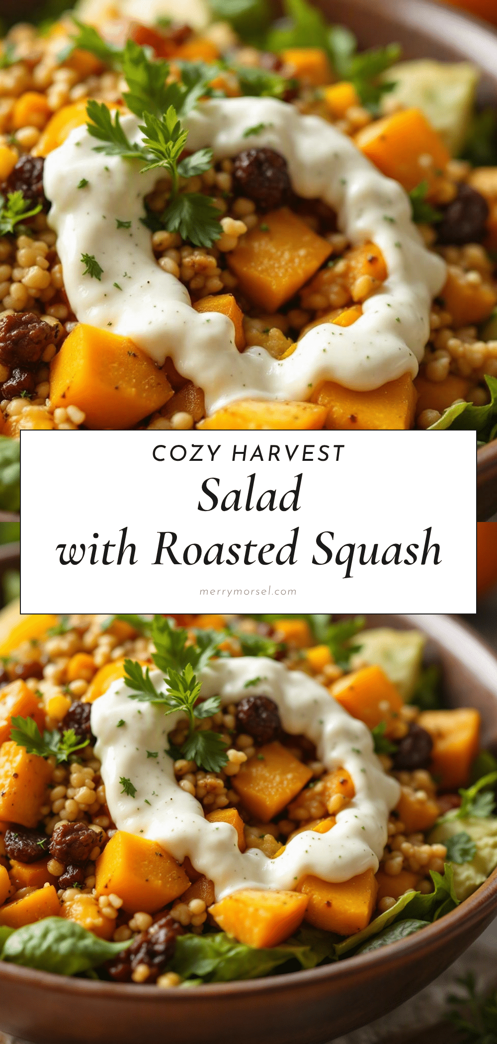 cozy harvest salad recipe