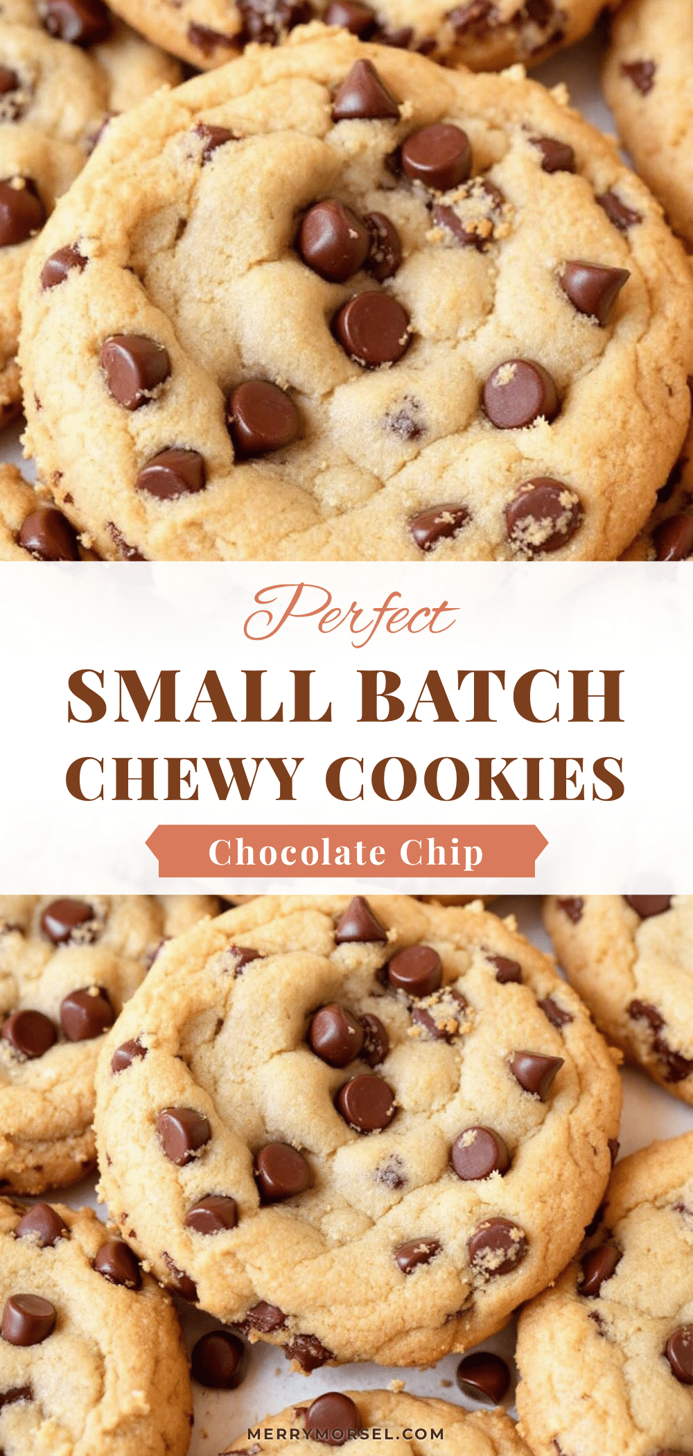 small batch chewy chocolate chip cookies recipe