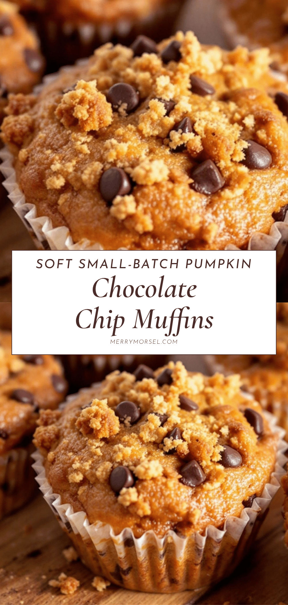 small-batch pumpkin chocolate chip muffins recipe