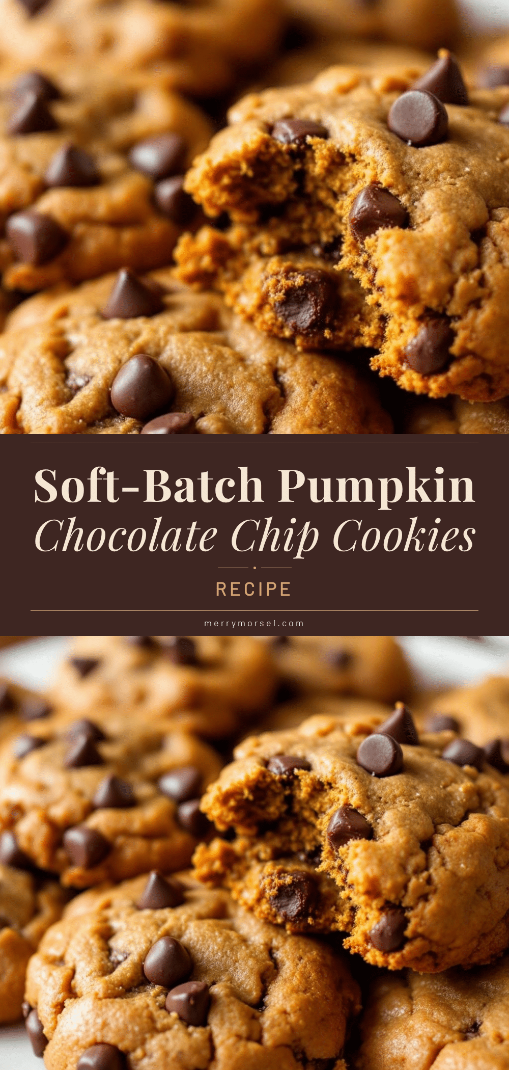 soft-batch pumpkin chocolate chip cookies recipe